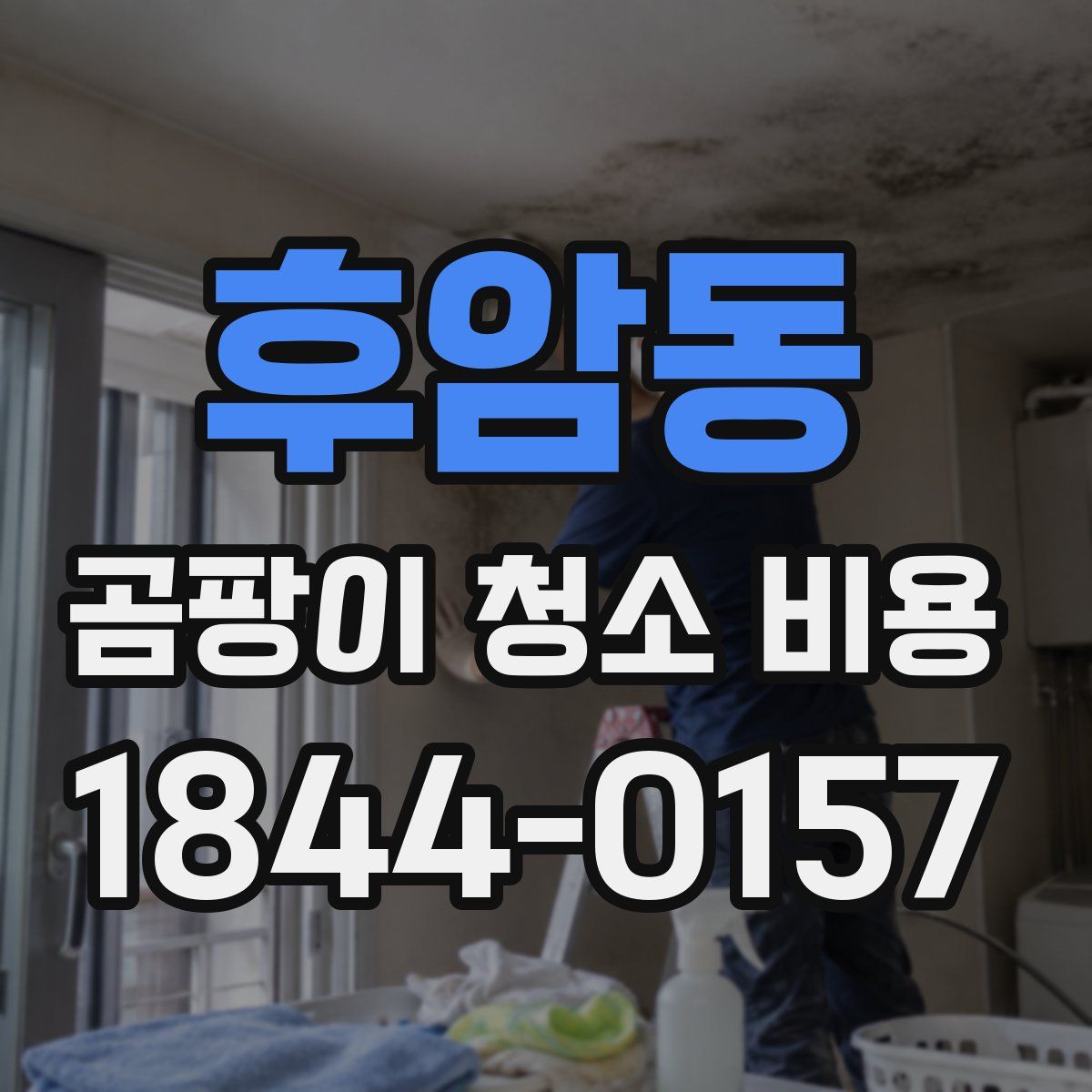 후암동 곰팡이 청소 비용