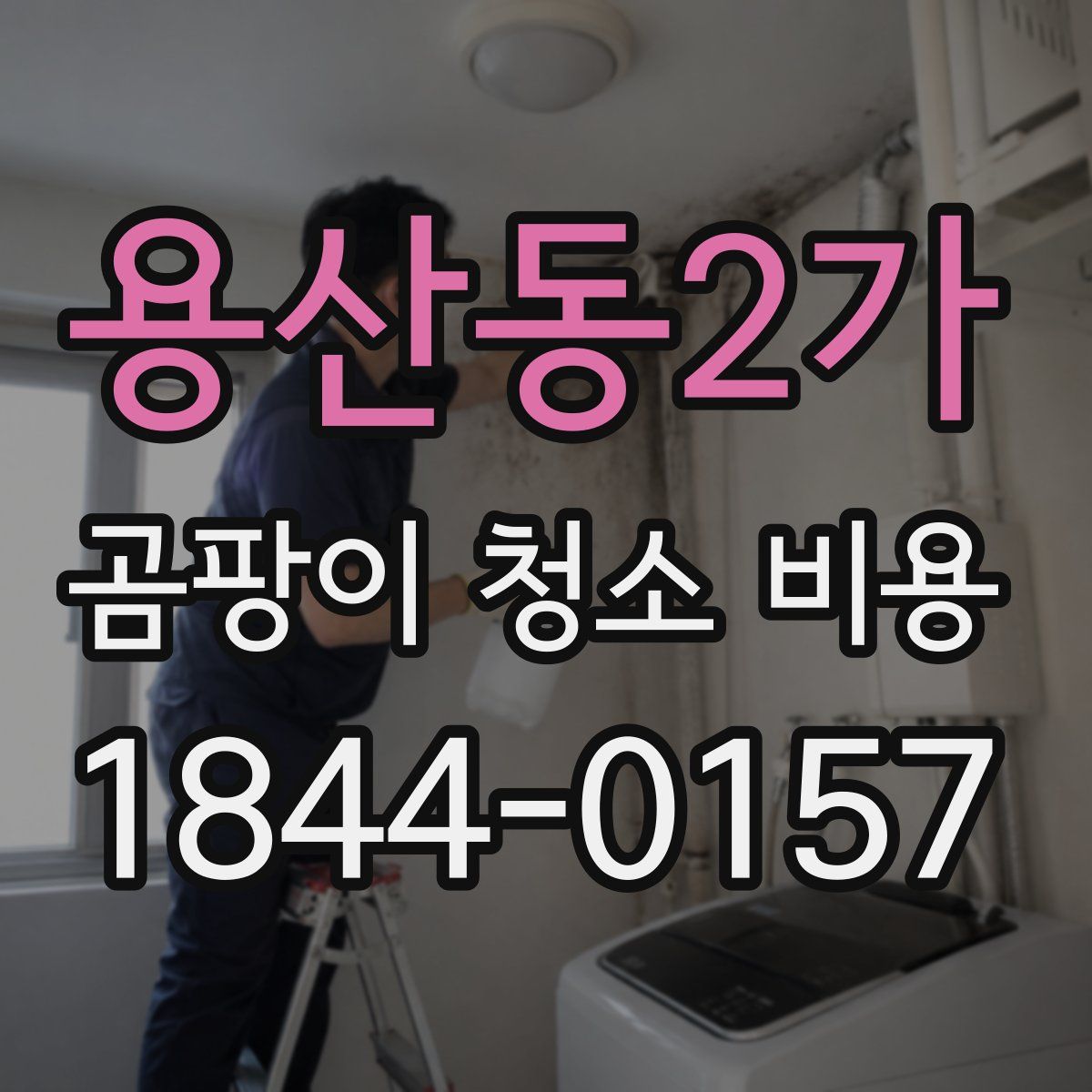 용산동2가 곰팡이 청소 비용