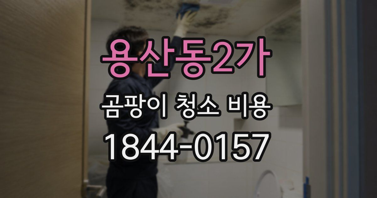 용산동2가 곰팡이 청소 비용