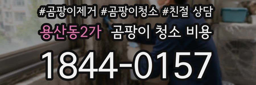 용산동2가 곰팡이 청소 비용