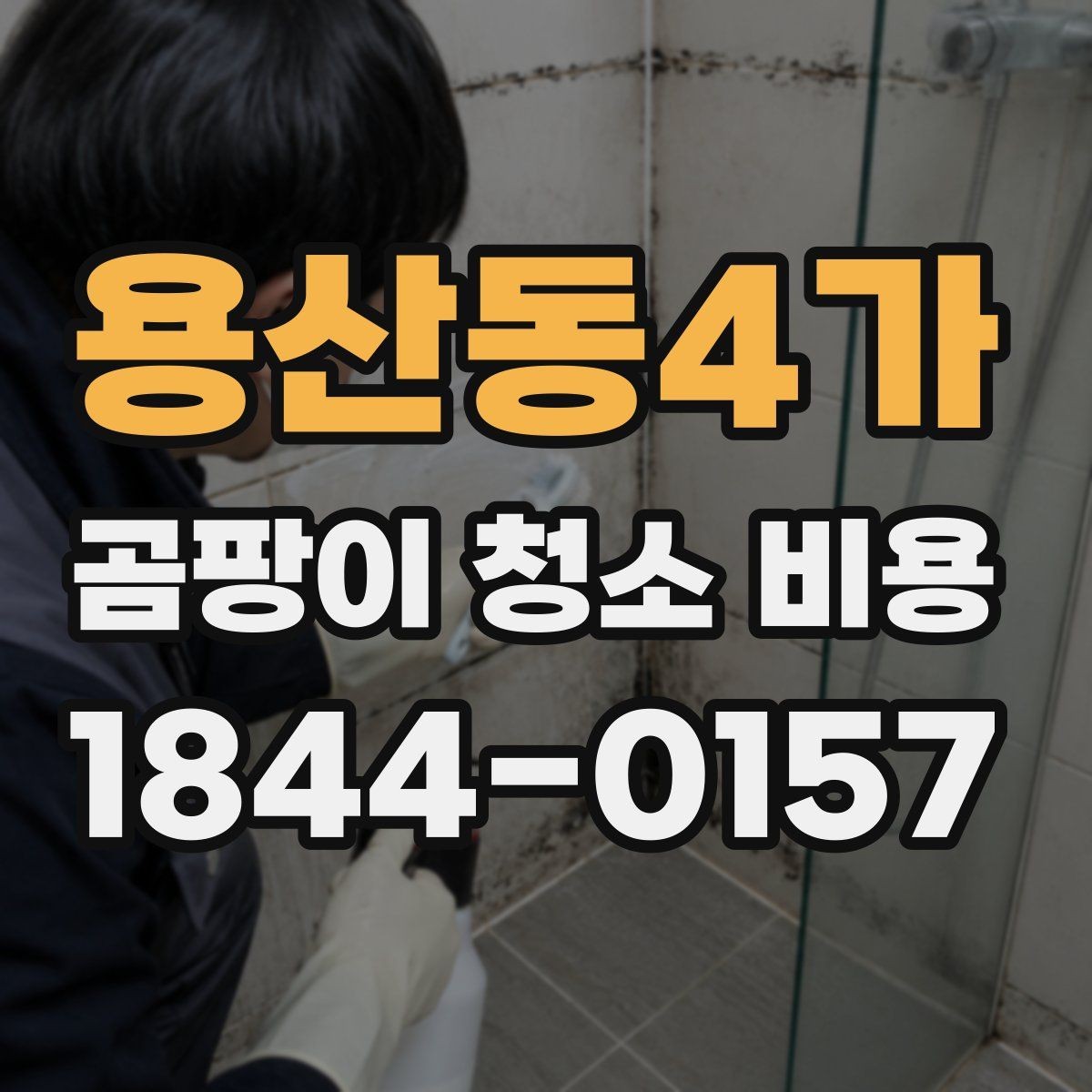 용산동4가 곰팡이 청소 비용 비교 후 선택할 때 참고할 점