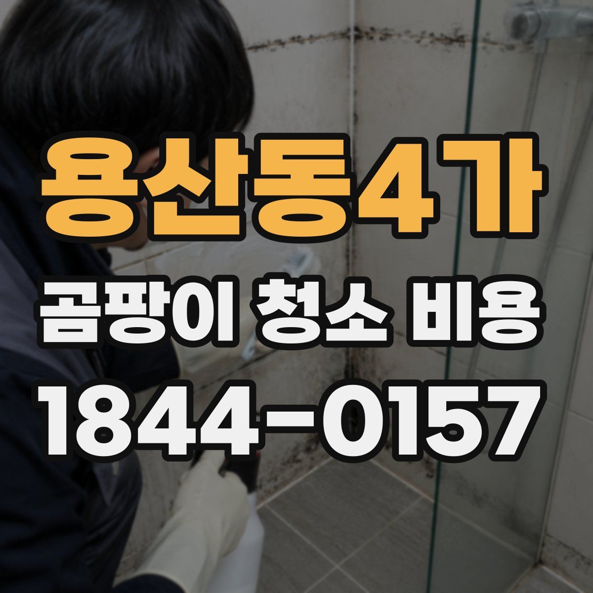용산동4가 곰팡이 청소 비용