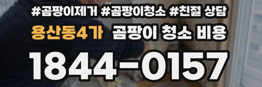 용산동4가 곰팡이 청소 비용