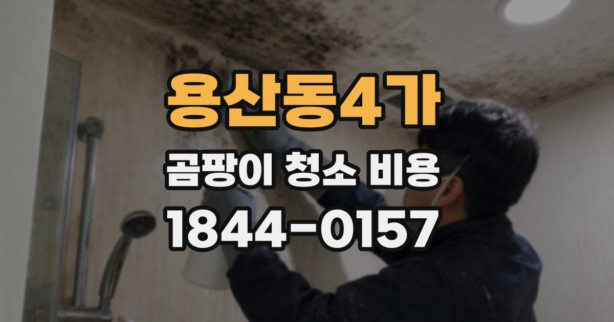 용산동4가 곰팡이 청소 비용