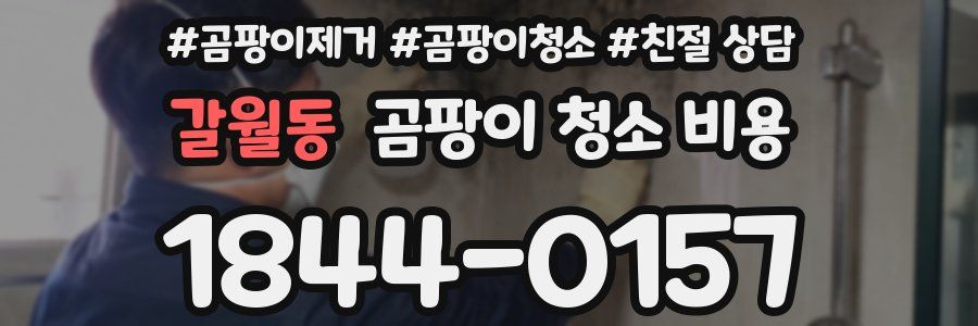 갈월동 곰팡이 청소 비용