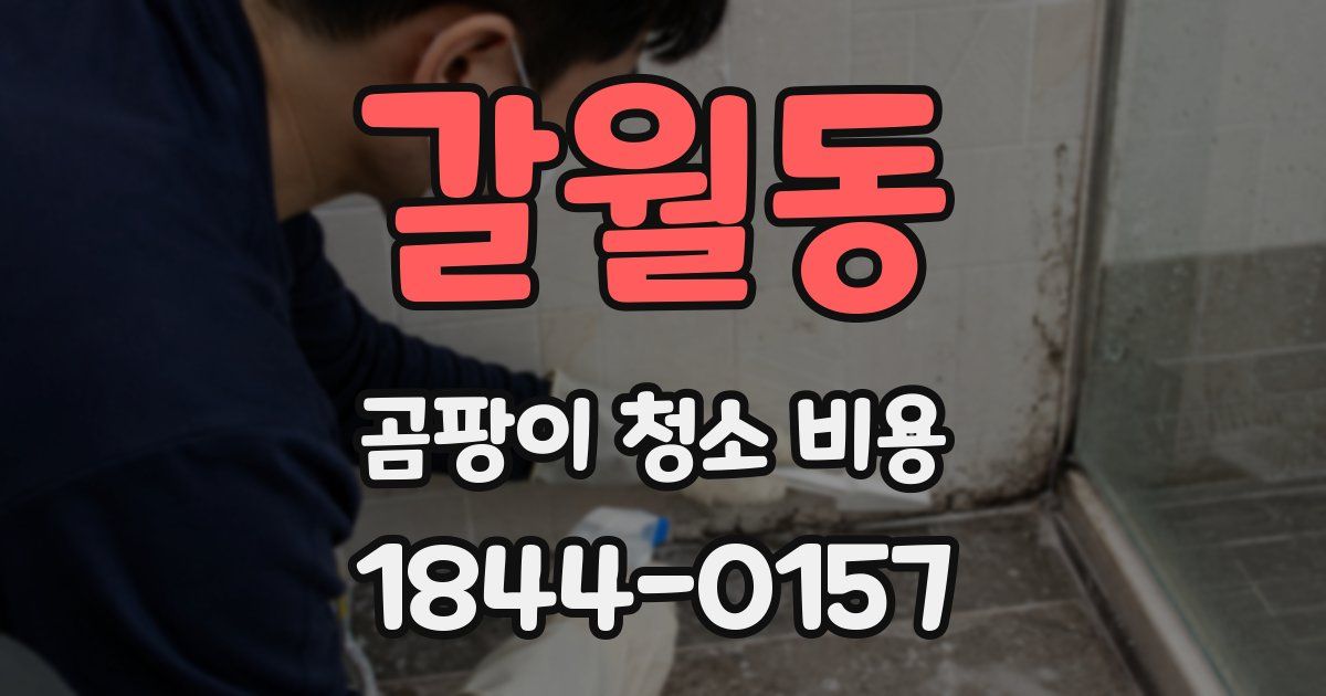 갈월동 곰팡이 청소 비용