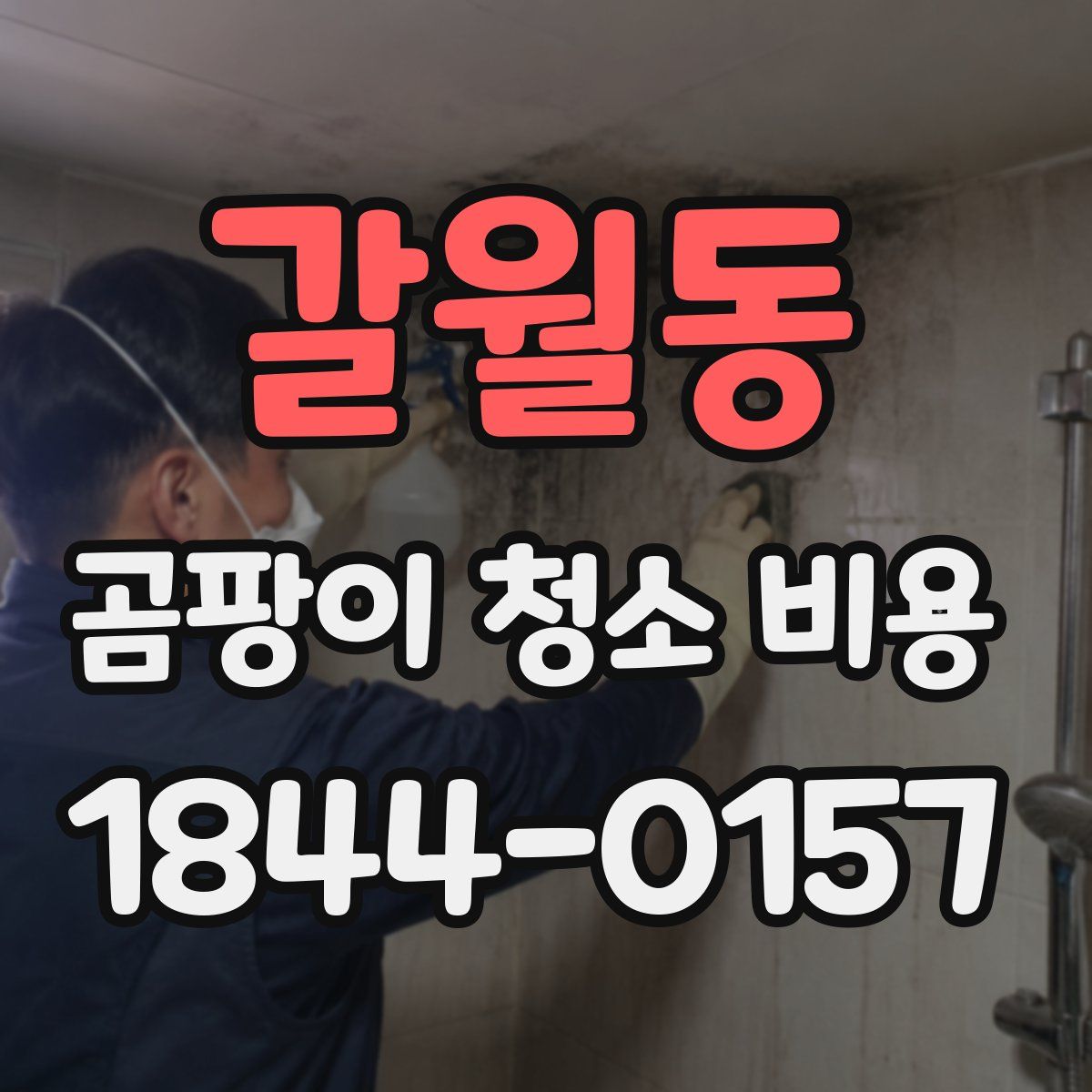 갈월동 곰팡이 청소 비용