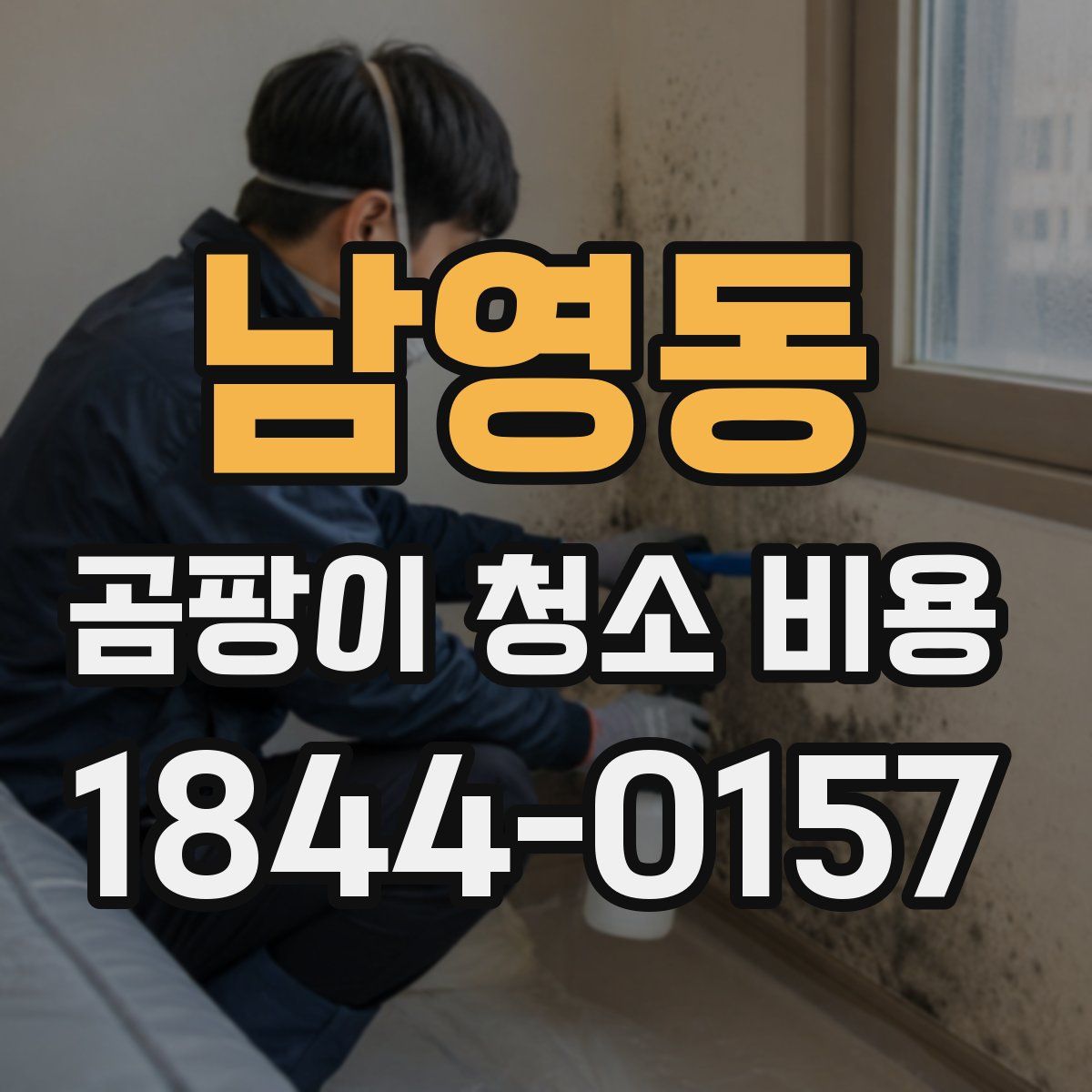 남영동 곰팡이 청소 비용