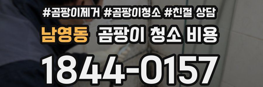 남영동 곰팡이 청소 비용