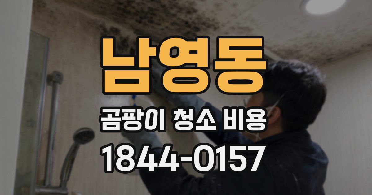 남영동 곰팡이 청소 비용