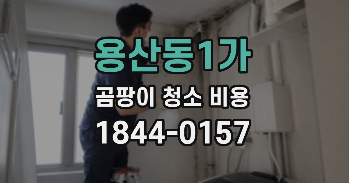 용산동1가 곰팡이 청소 비용