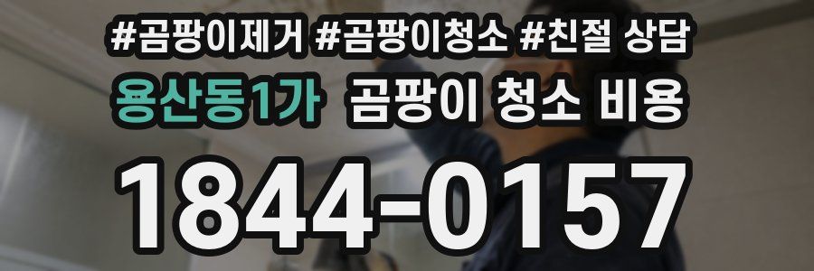 용산동1가 곰팡이 청소 비용