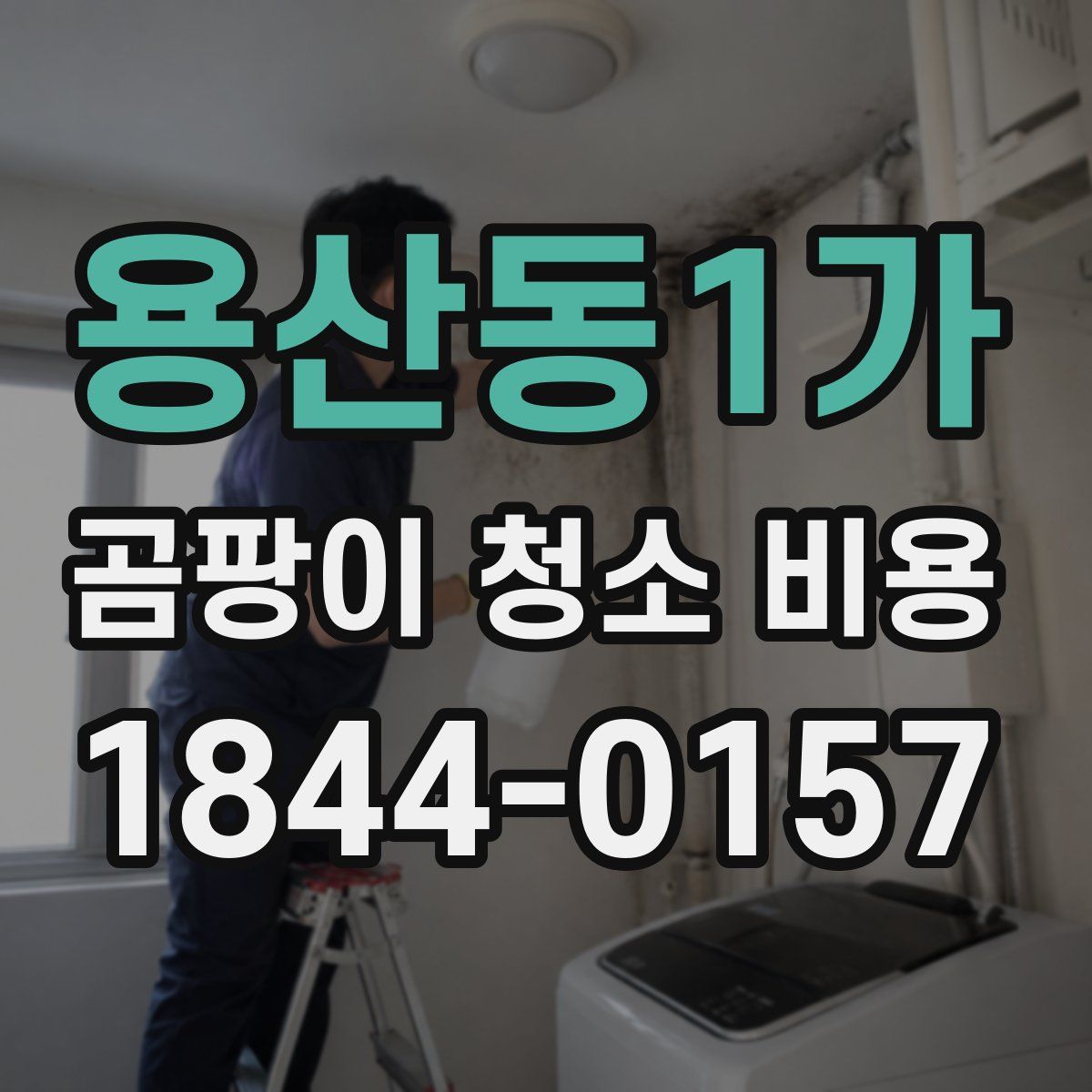 용산동1가 곰팡이 청소 비용