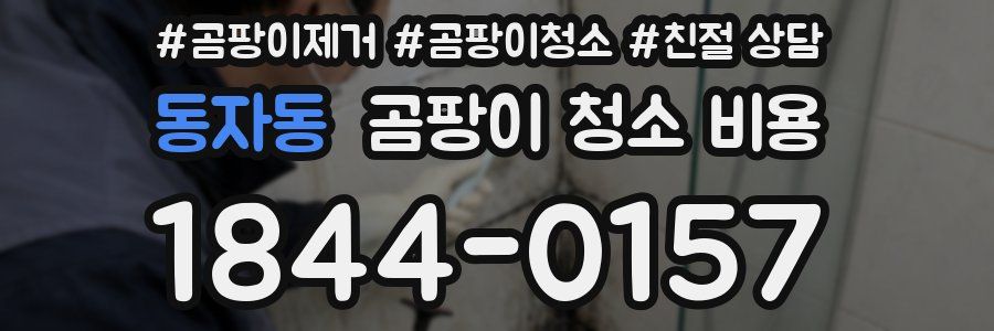 동자동 곰팡이 청소 비용
