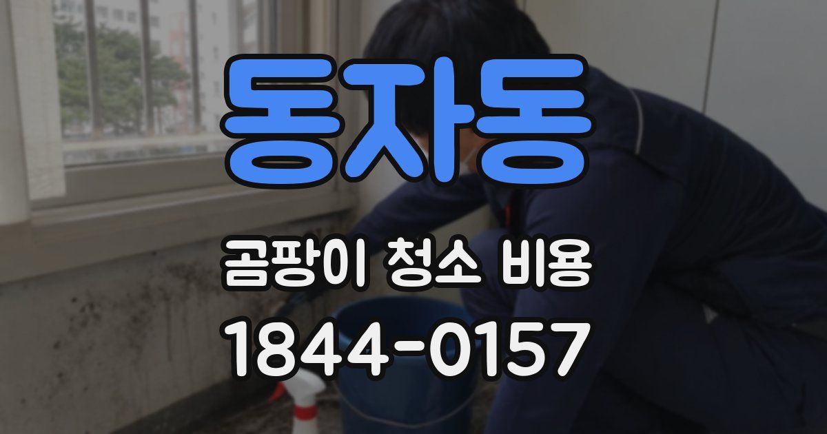 동자동 곰팡이 청소 비용