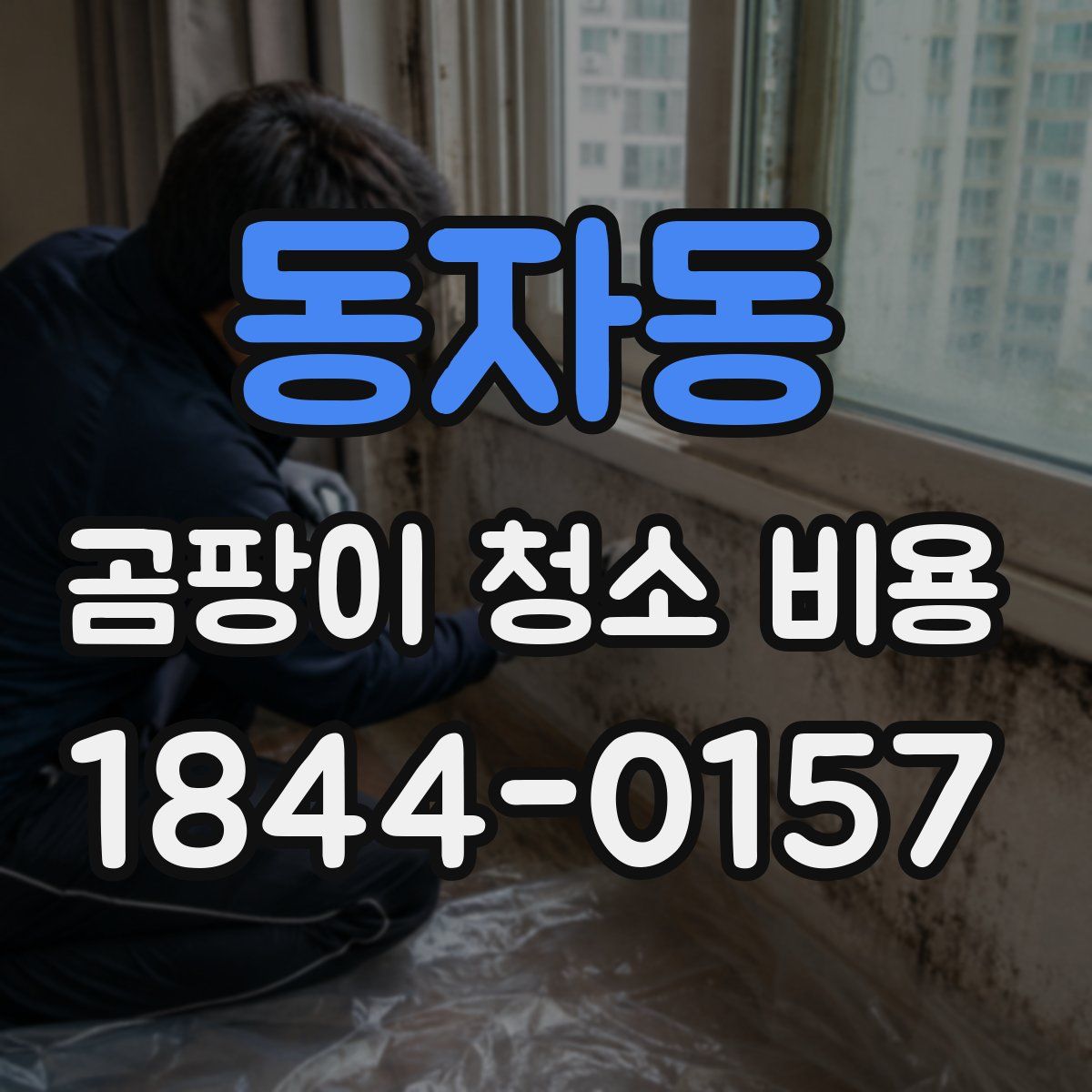 동자동 곰팡이 청소 비용