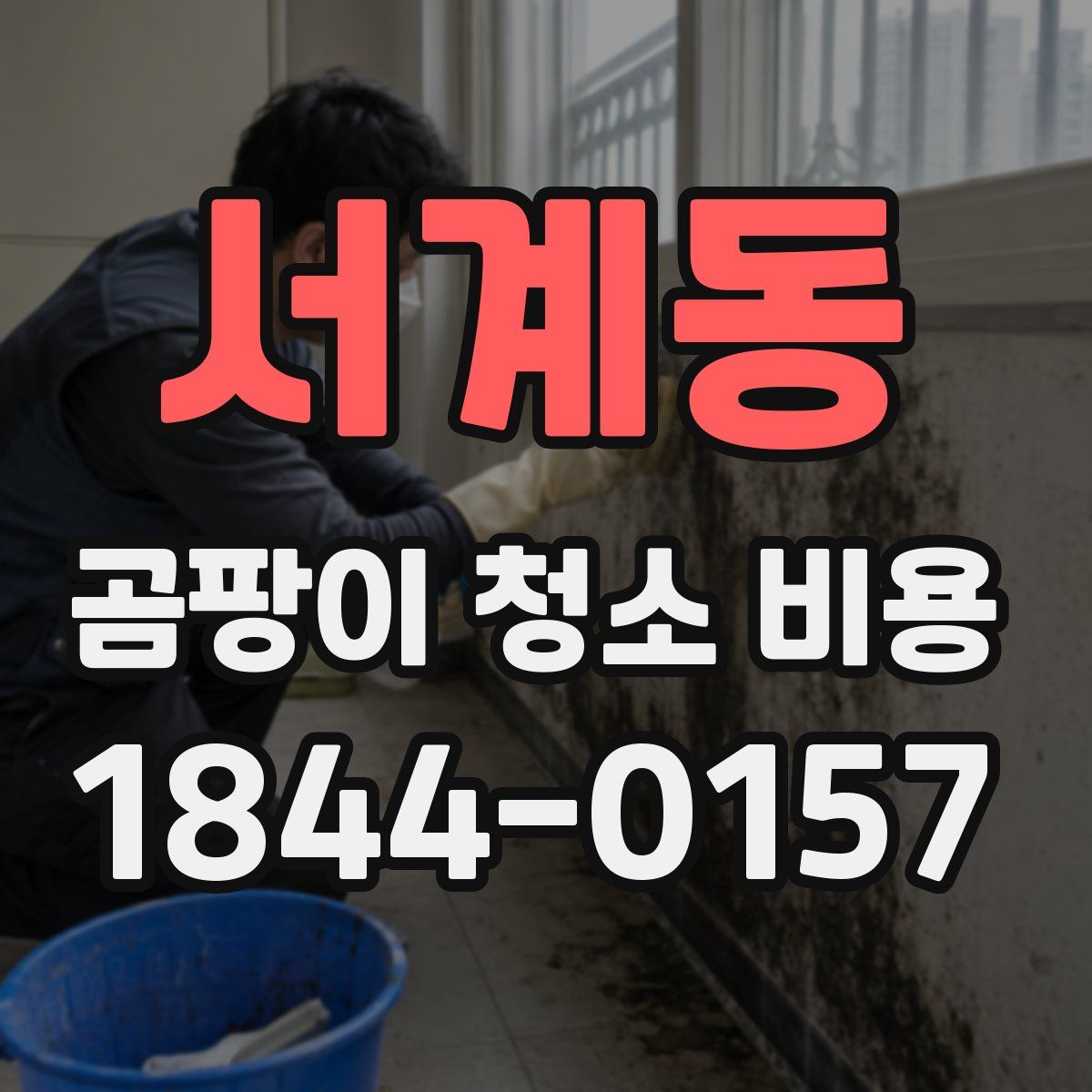 서계동 곰팡이 청소 비용