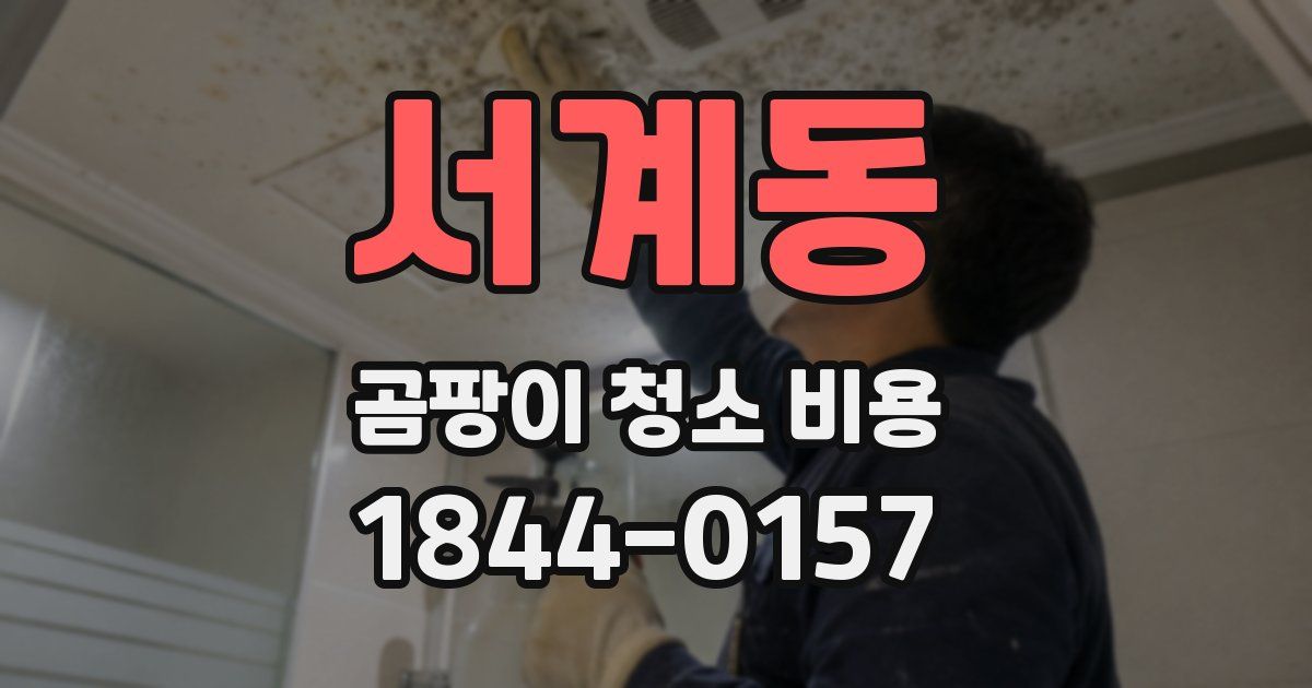 서계동 곰팡이 청소 비용