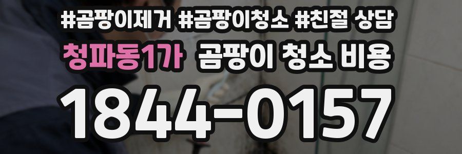 청파동1가 곰팡이 청소 비용