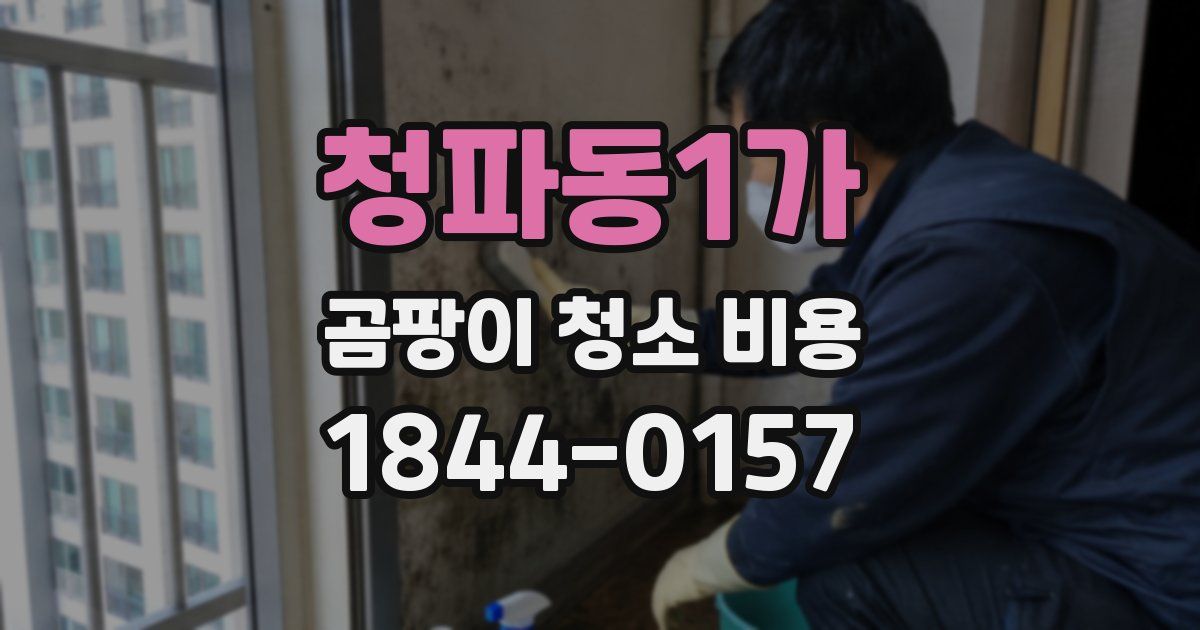 청파동1가 곰팡이 청소 비용
