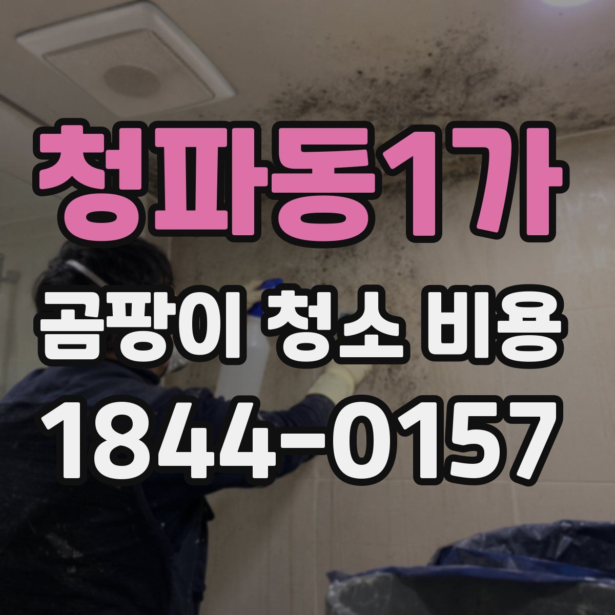청파동1가 곰팡이 청소 비용