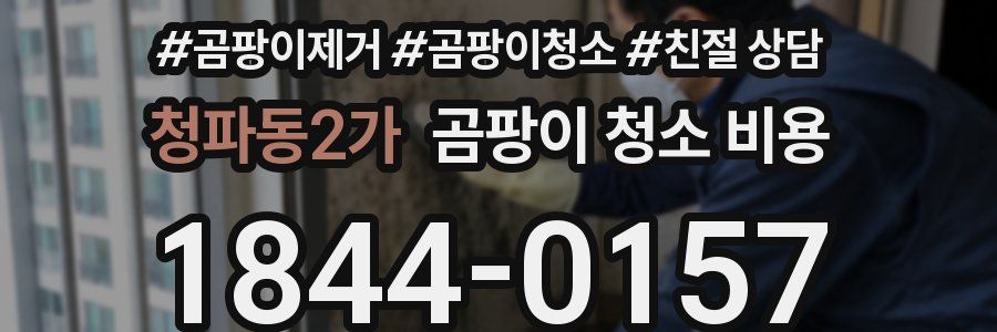 청파동2가 곰팡이 청소 비용