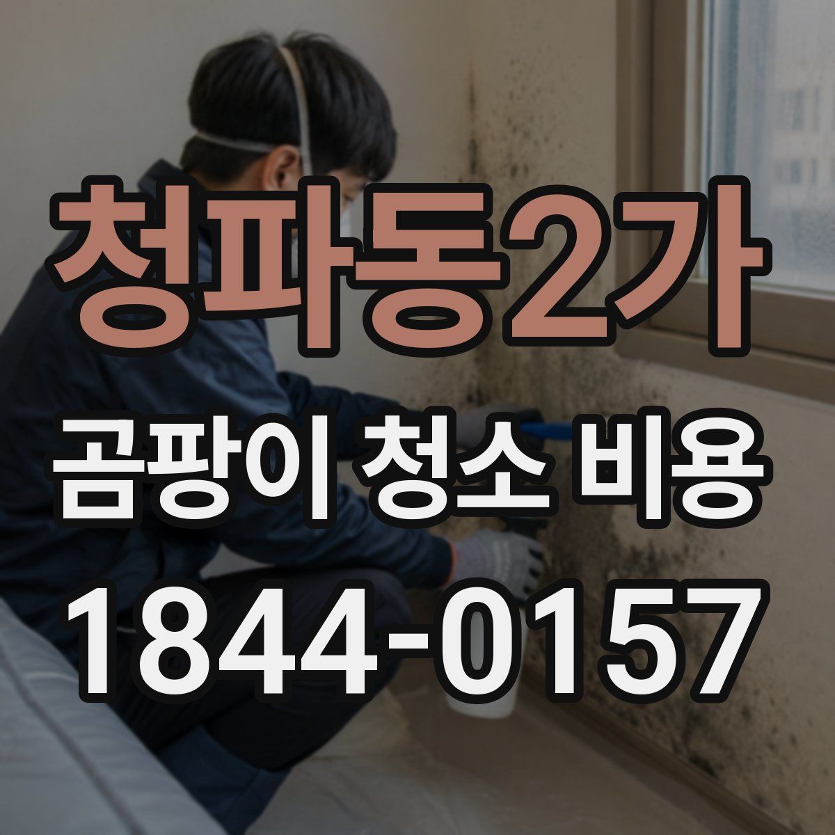 청파동2가 곰팡이 청소 비용