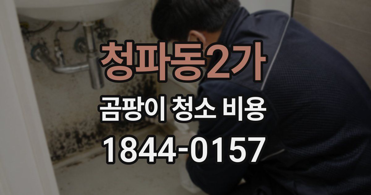 청파동2가 곰팡이 청소 비용