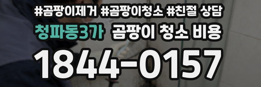 청파동3가 곰팡이 청소 비용