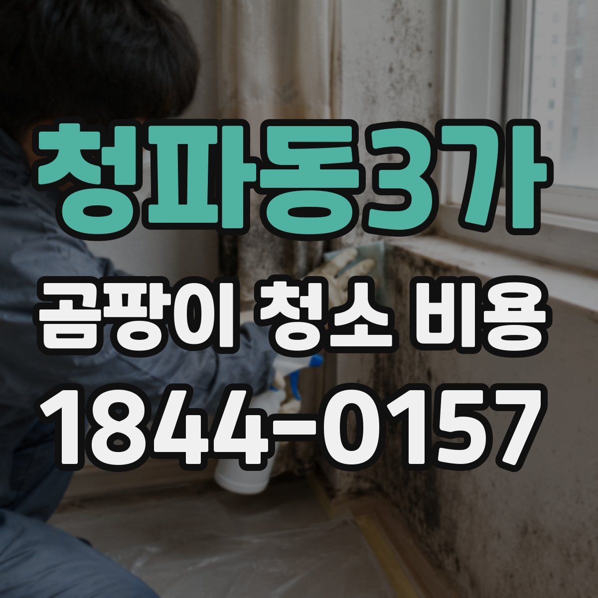 청파동3가 곰팡이 청소 비용