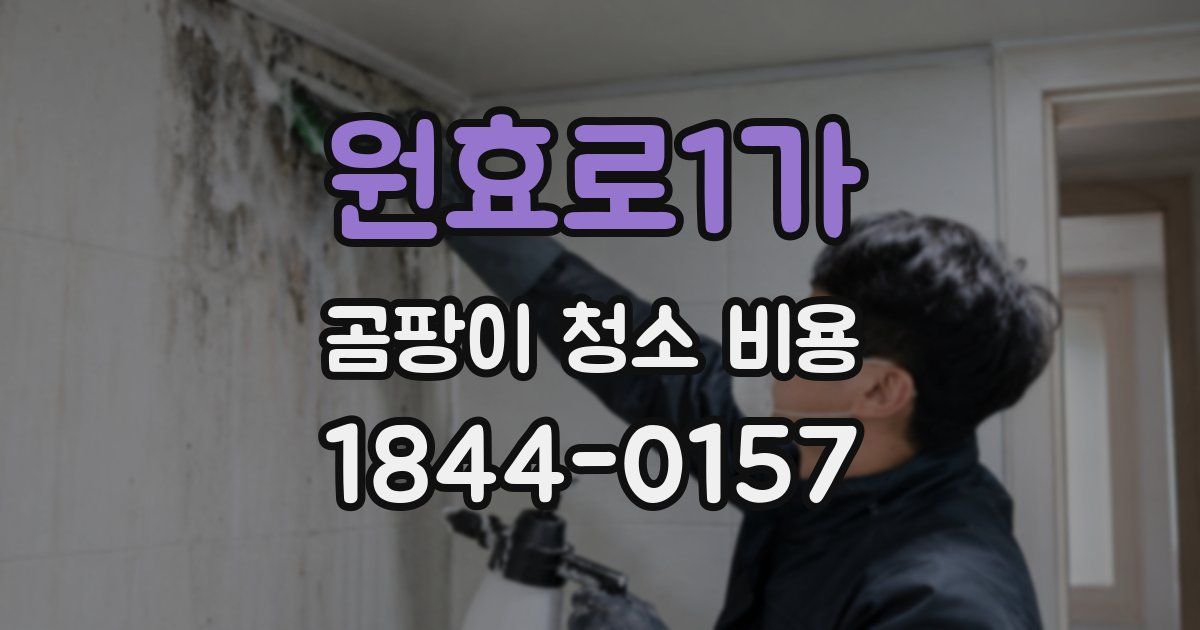 원효로1가 곰팡이 청소 비용