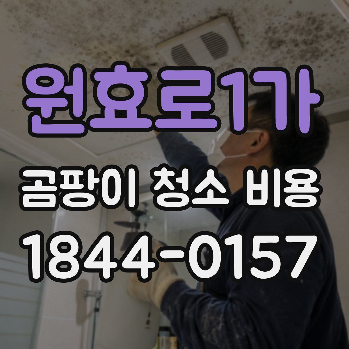 원효로1가 곰팡이 청소 비용
