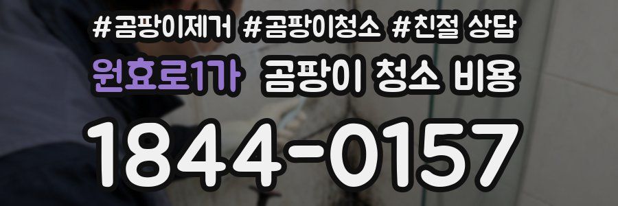 원효로1가 곰팡이 청소 비용