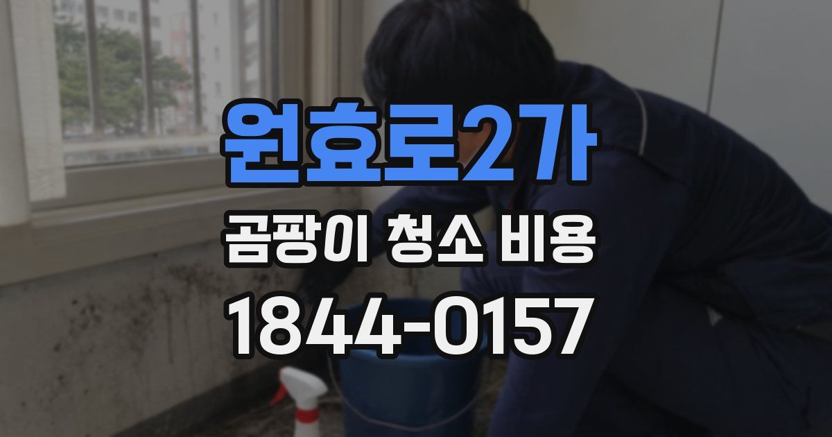 원효로2가 곰팡이 청소 비용