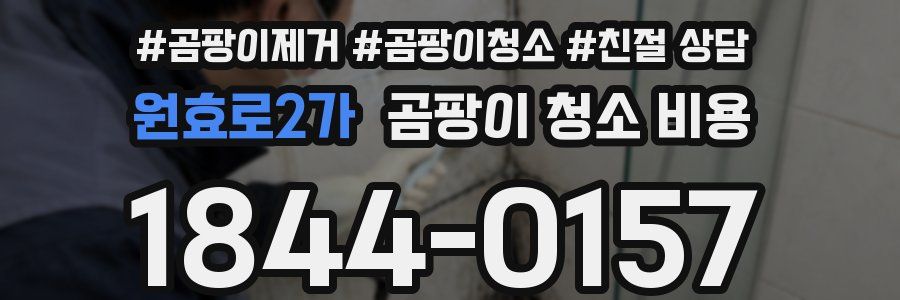 원효로2가 곰팡이 청소 비용