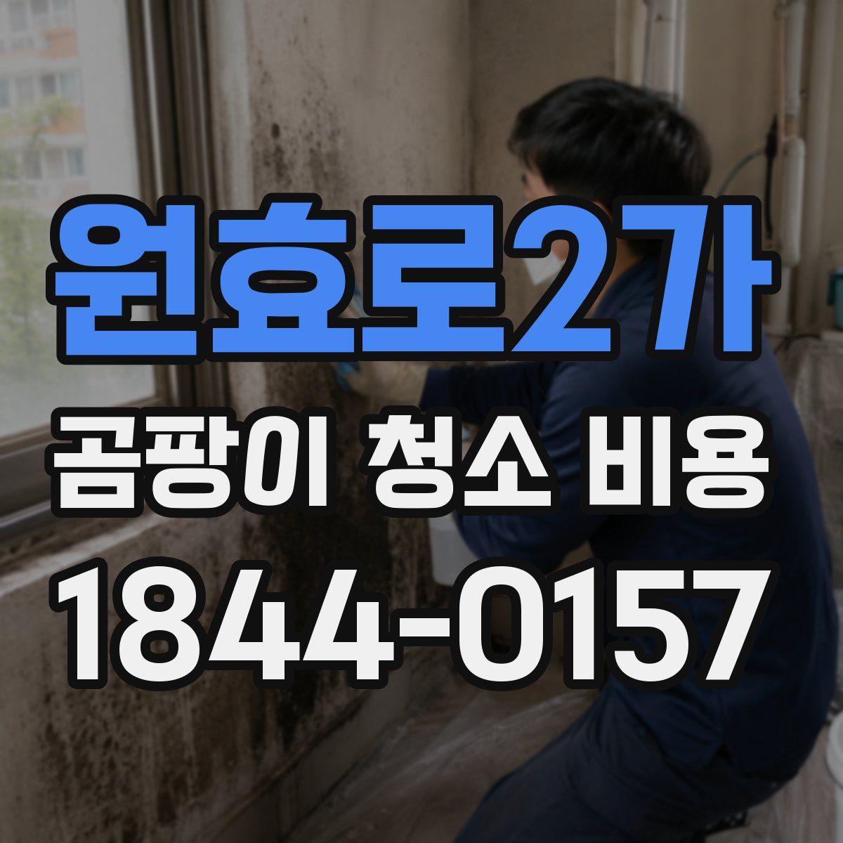 원효로2가 곰팡이 청소 비용