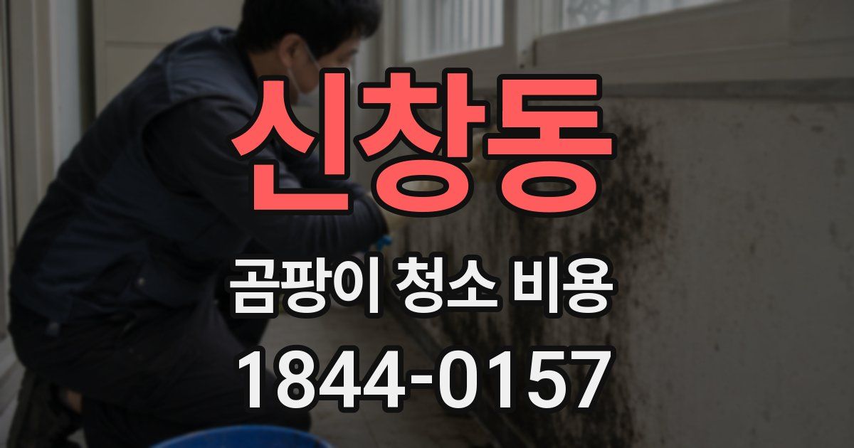 신창동 곰팡이 청소 비용