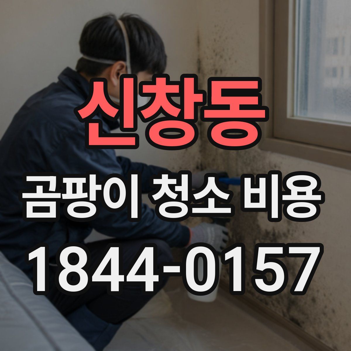 신창동 곰팡이 청소 비용