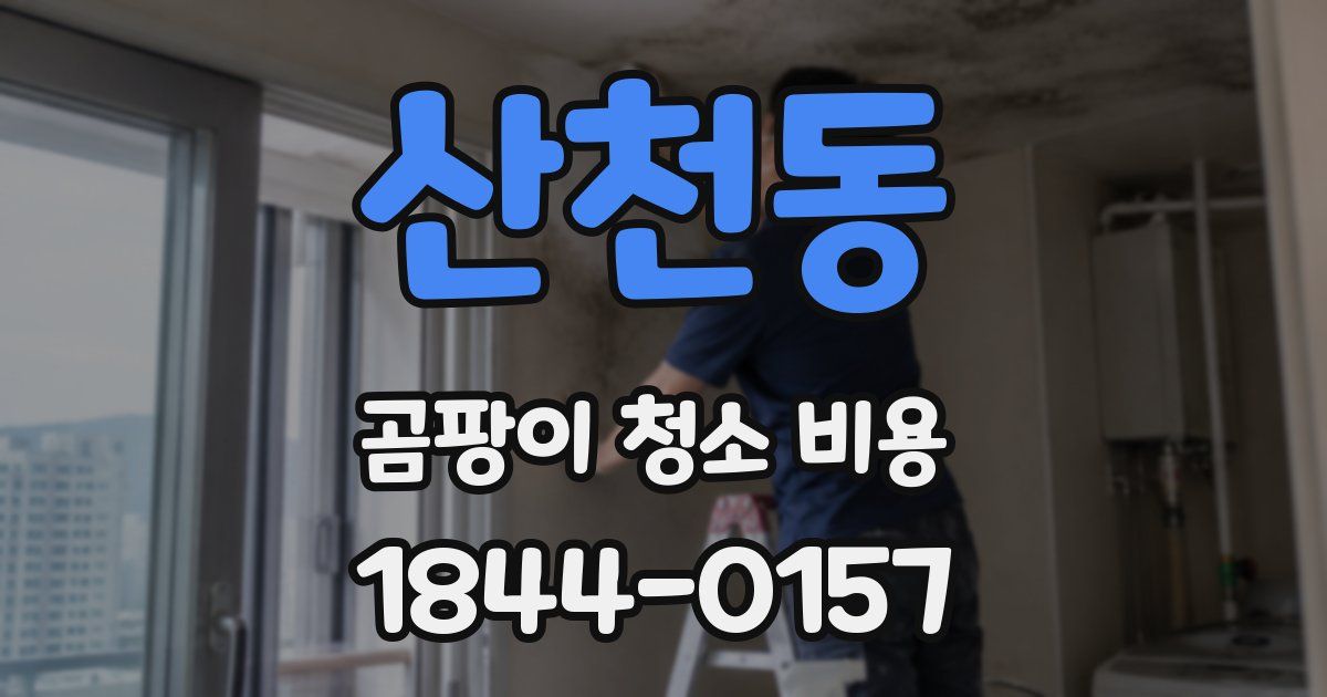 산천동 곰팡이 청소 비용