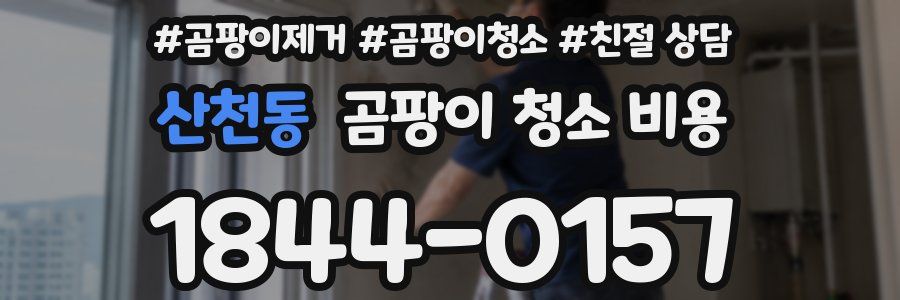 산천동 곰팡이 청소 비용
