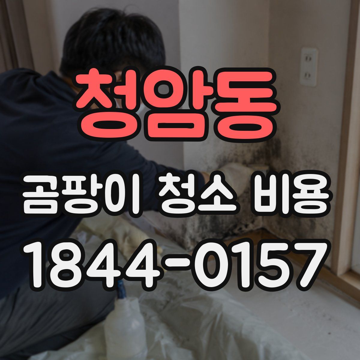 청암동 곰팡이 청소 비용