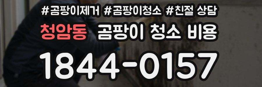 청암동 곰팡이 청소 비용
