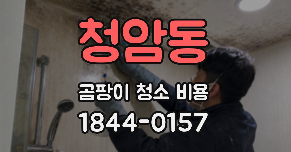 청암동 곰팡이 청소 비용