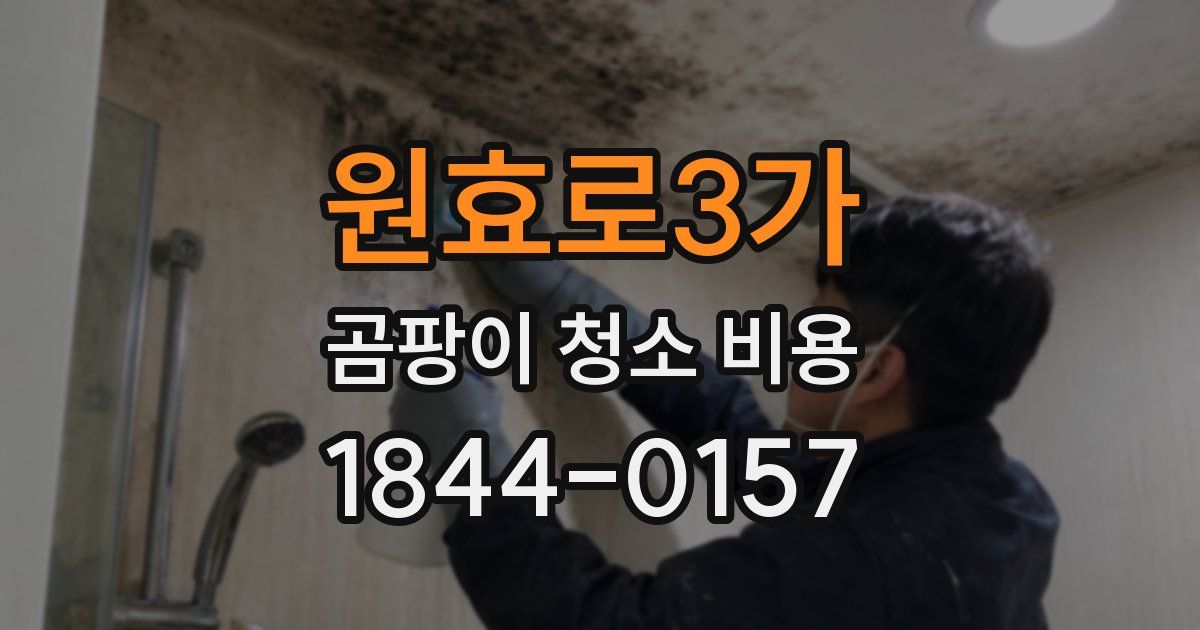 원효로3가 곰팡이 청소 비용