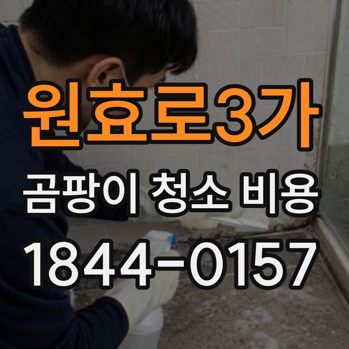 원효로3가 곰팡이 청소 비용