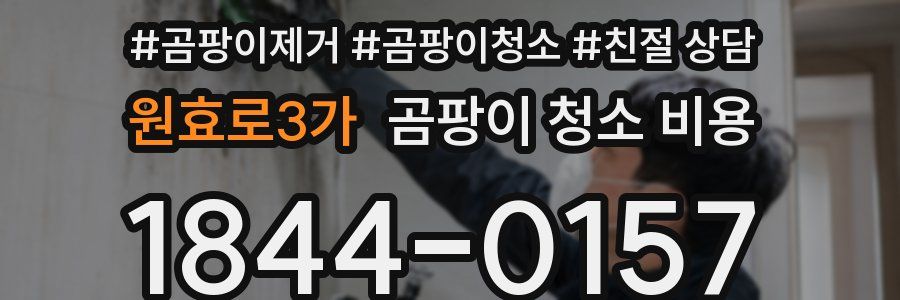 원효로3가 곰팡이 청소 비용