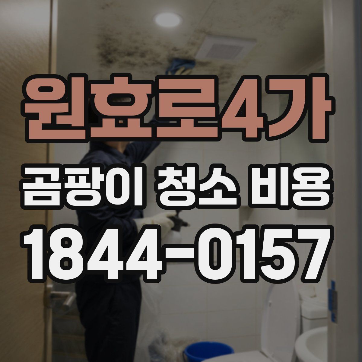 원효로4가 곰팡이 청소 비용 선택 전에 알아야 할 서비스 차이