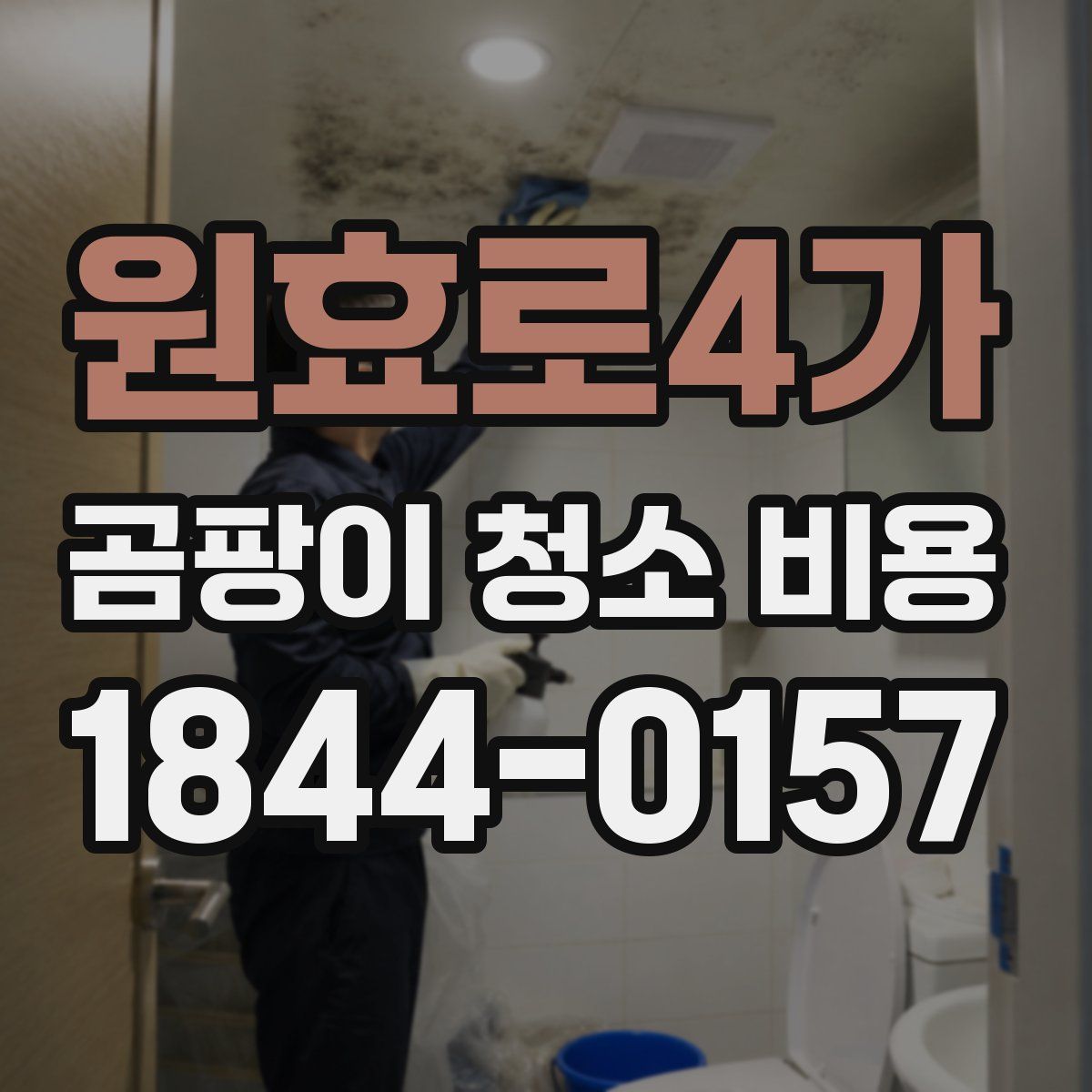 원효로4가 곰팡이 청소 비용