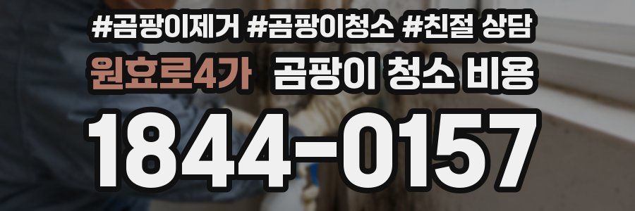 원효로4가 곰팡이 청소 비용