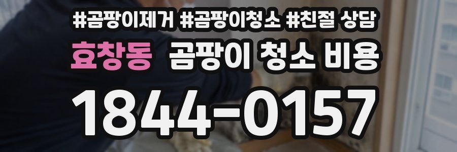 효창동 곰팡이 청소 비용